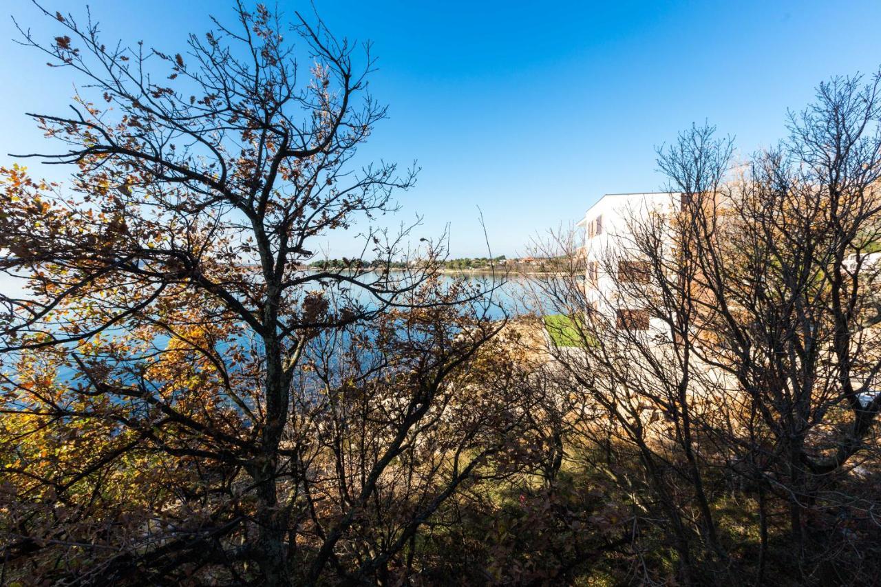 Bed & Breakfast Pansion Croatia Starigrad Paklenica